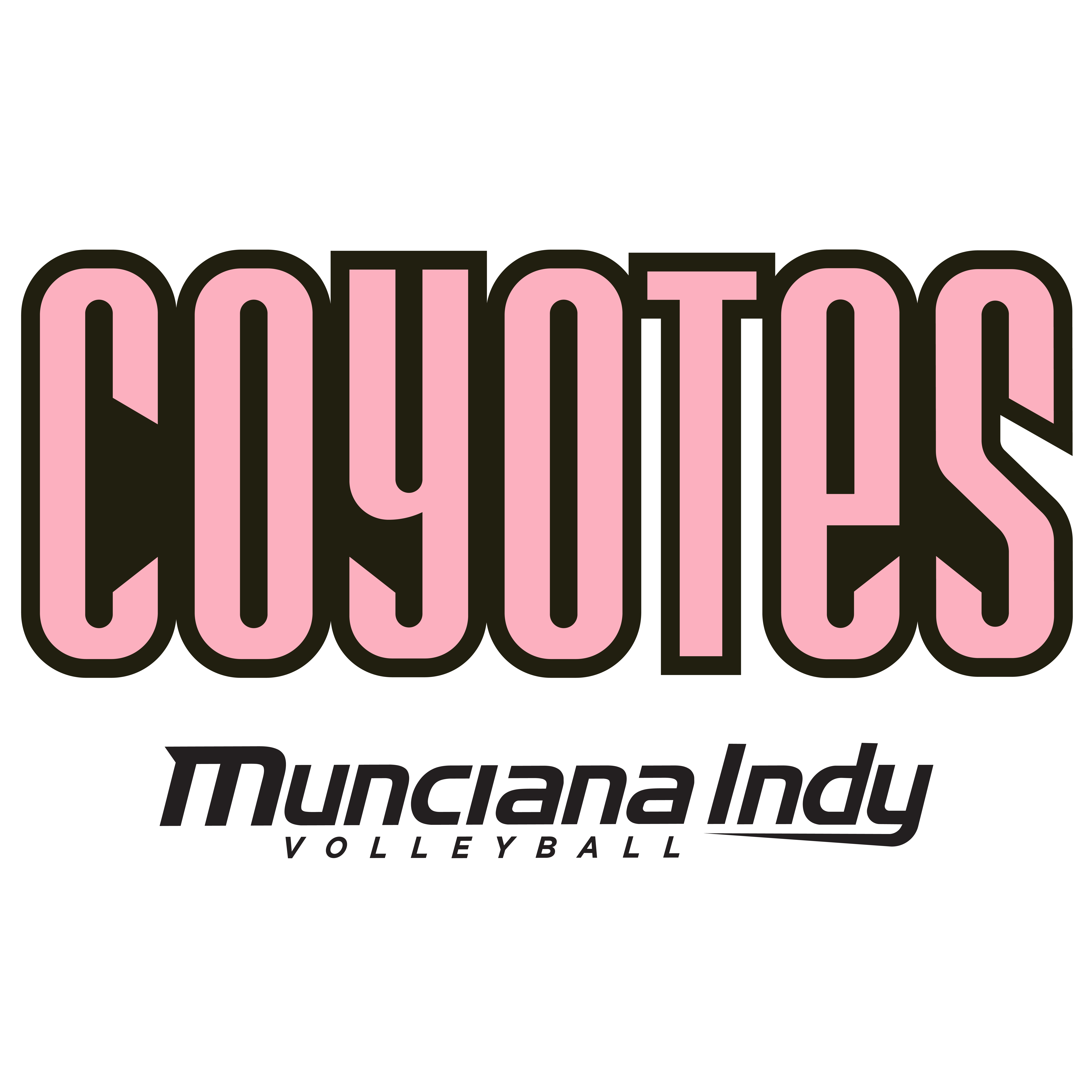 Team Logo